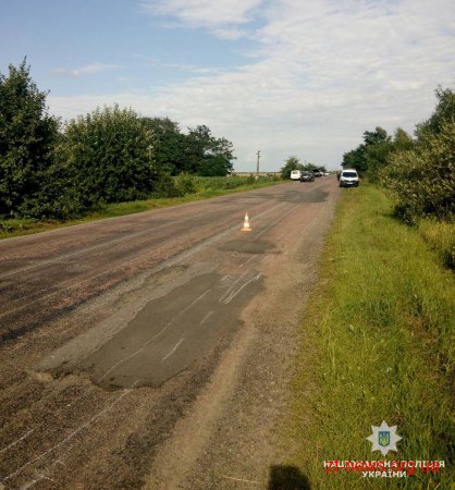 На Житомирщині водій "Peugeot" злетів з дороги та врізався в електроопору