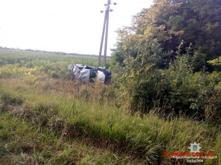 На Житомирщині водій "Peugeot" злетів з дороги та врізався в електроопору