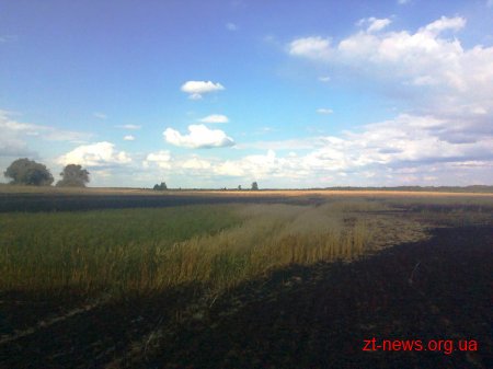 На Житомирщині горіла пшениця на площі 21 га