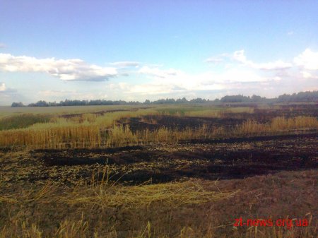 На Житомирщині горіла пшениця на площі 21 га
