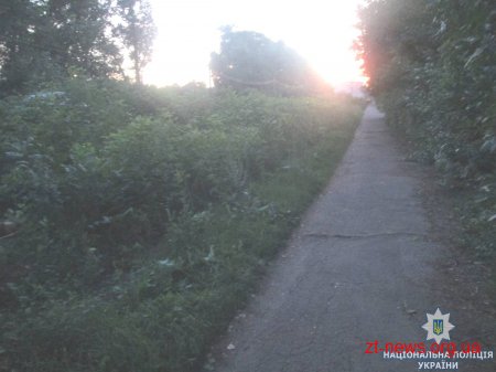 На Житомирщині поліція затримала підозрюваного у вбивстві бердичівлянки