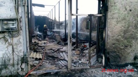 На Житомирщині горіла будівля підприємства по виготовленню деревного вугілля
