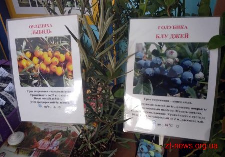 У Житомирі розпочався дводенний Міжнародний форум з ягідництва