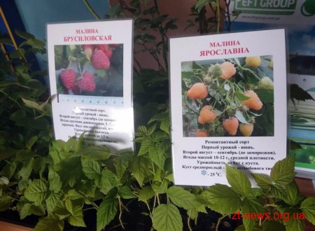 У Житомирі розпочався дводенний Міжнародний форум з ягідництва