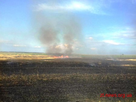 В Андрушівському районі на фермерському полі горіла стерня на площі близько 1 га