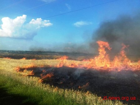 В Андрушівському районі на фермерському полі горіла стерня на площі близько 1 га