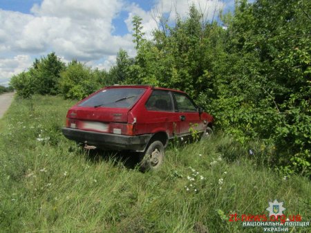 На Житомирщині п'яний чоловік викрав автомобіль у рибалки