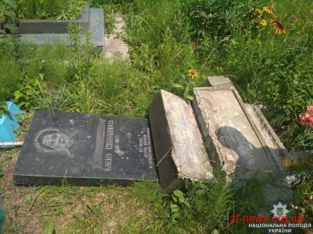 На Житомирщині п'яний чоловік здійснив погром на місцевому кладовищі