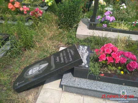 На Житомирщині п'яний чоловік здійснив погром на місцевому кладовищі