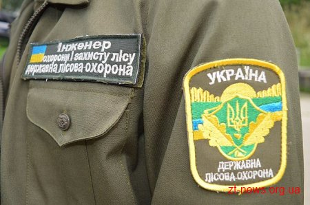 Минулої доби на Житомирщині лісова охорона виявила 2 випадки незаконних рубок