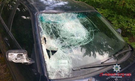 На Житомирщині водій травмував велосипедиста та зник з місця пригоди