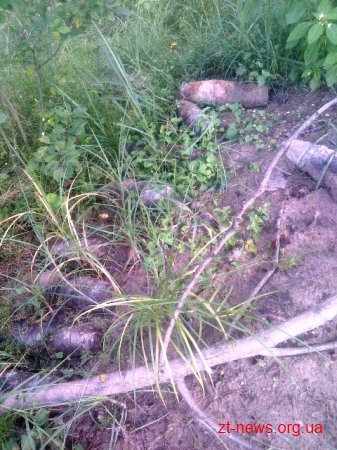 В лісосмузі поблизу с. Малинівка грибники виявили 45 боєприпасів