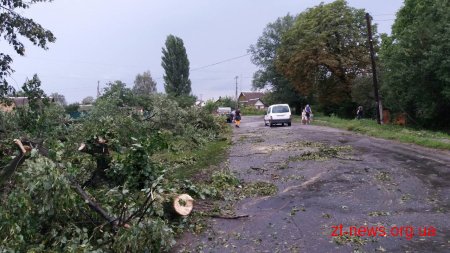 На Житомирщині пройшов буревій із сильною грозою