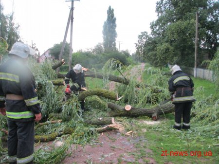 На Житомирщині пройшов буревій із сильною грозою