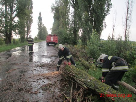 На Житомирщині пройшов буревій із сильною грозою