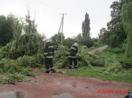 На Житомирщині пройшов буревій із сильною грозою