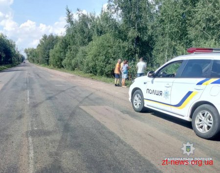 На Коростенщині автомобіль зіткнувся з деревом