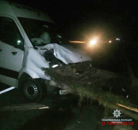 У Новограді-Волинському бус зіштовхнувся з гужовим возом: одна людина загинула