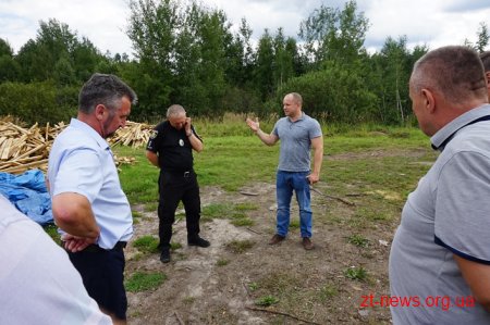 На Житомирщині перевірили підприємців, які випалюють вугілля
