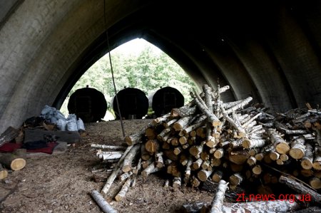 На Житомирщині перевірили підприємців, які випалюють вугілля