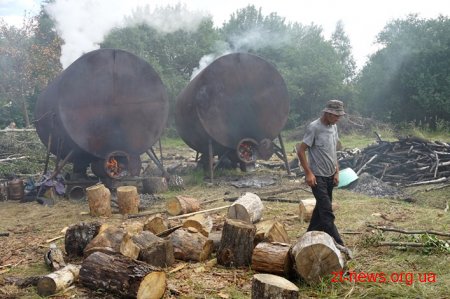 На Житомирщині перевірили підприємців, які випалюють вугілля