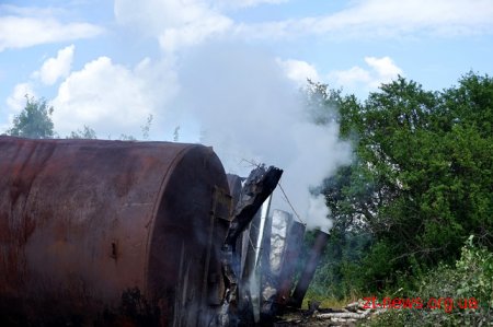 На Житомирщині перевірили підприємців, які випалюють вугілля