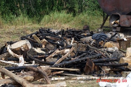 На Житомирщині перевірили підприємців, які випалюють вугілля