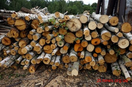 На Житомирщині перевірили підприємців, які випалюють вугілля