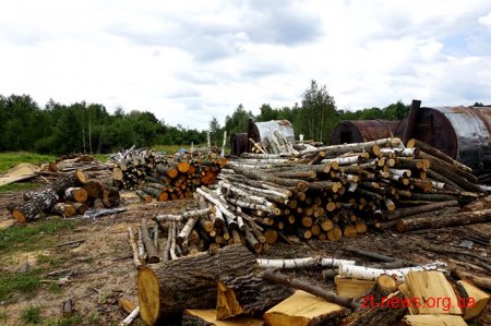 На Житомирщині перевірили підприємців, які випалюють вугілля