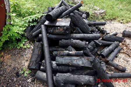На Житомирщині перевірили підприємців, які випалюють вугілля