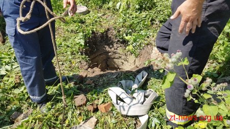 У Чуднові рятувальники витягли лоша з 4-х метрового колодязя