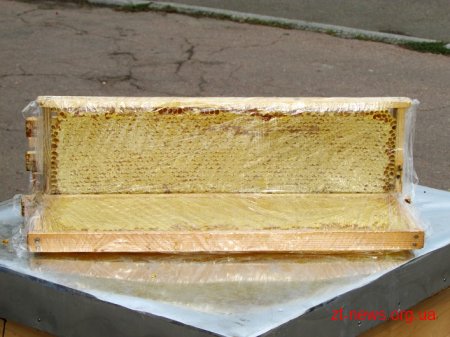 У Житомирі розпочався обласний ярмарок меду