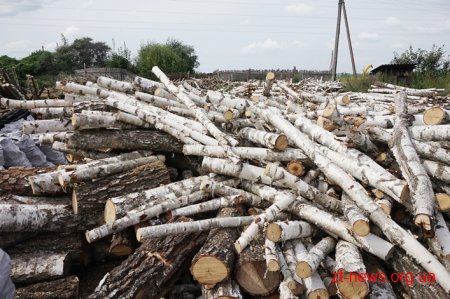 На Житомирщині продовжують перевіряти легальність підприємницької діяльності з випалювання вугілля