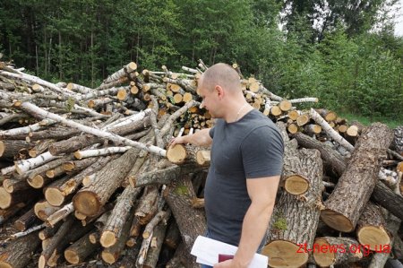 На Житомирщині продовжують перевіряти легальність підприємницької діяльності з випалювання вугілля