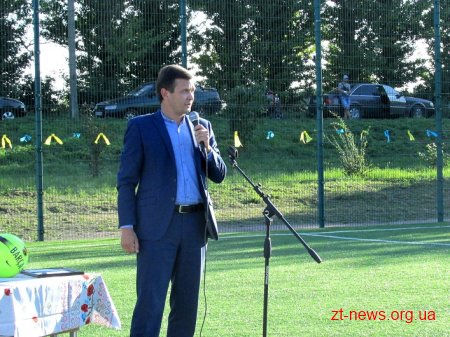 Три нових футбольних майданчика зі штучним покриттям з'явились на Житомирщині