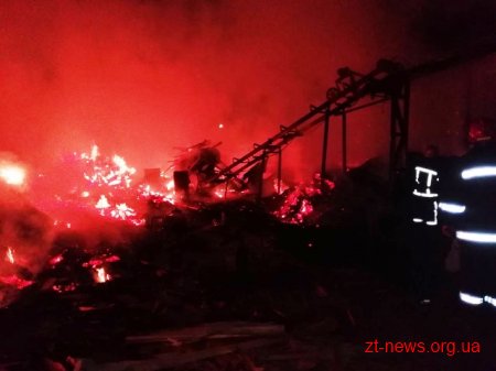 На Житомирщині на території деревообробного підприємства загорілися відходи деревини