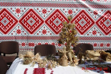 Як у Житомирі відзначали День Незалежності
