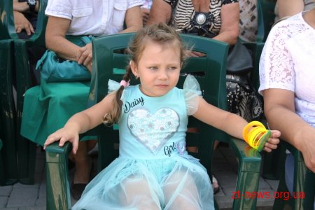 Як у Житомирі відзначали День Незалежності