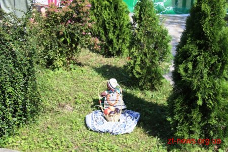 Як у Житомирі відзначали День Незалежності