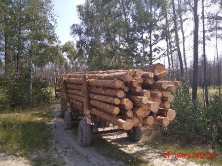 На Житомирщині прикордонники затримали трактор без номерних знаків, завантажений деревиною