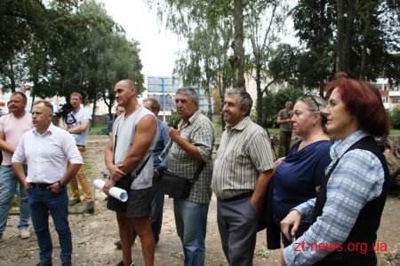 Зрізані аварійні дерева у сквері на Лятошинського обіцяють замінити новими