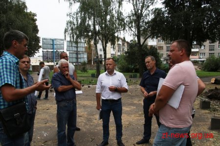 Зрізані аварійні дерева у сквері на Лятошинського обіцяють замінити новими