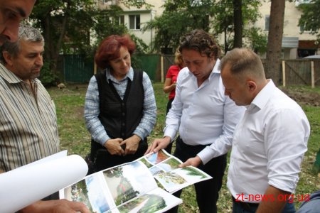 Зрізані аварійні дерева у сквері на Лятошинського обіцяють замінити новими