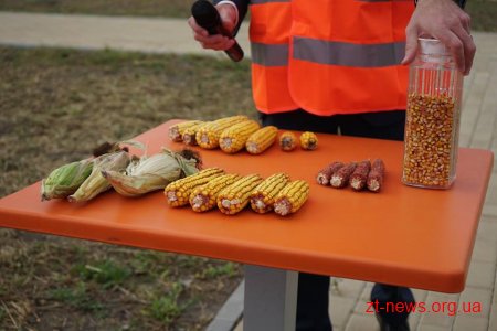 200 млн доларів спрямував інвестор на будівництво заводу на Житомирщині