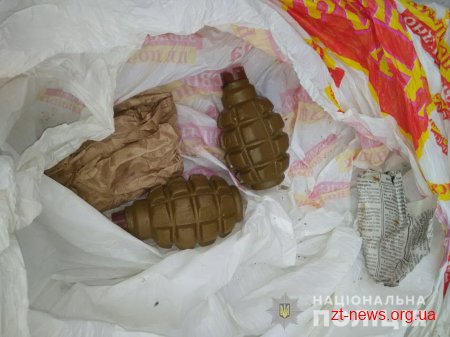 У жителів Житомирщини поліцейські вилучили зброю і боєприпаси