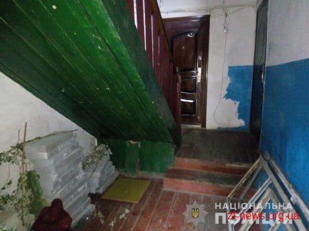 У Коростені двоє чоловіків викрадали тротуарну плитку
