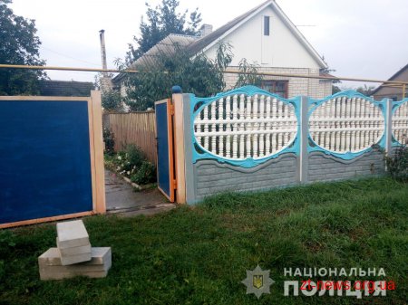 У Коростені двоє чоловіків викрадали тротуарну плитку
