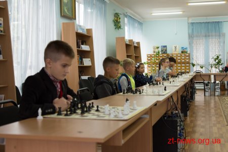 На День міста у Житомирі відбувся сеанс одночасної гри у шахи