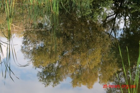 У житомирському ботанічному саду за бюджетні кошти «оновили» водойми