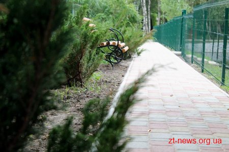 У житомирському ботанічному саду за бюджетні кошти «оновили» водойми